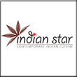 Indian Star logo